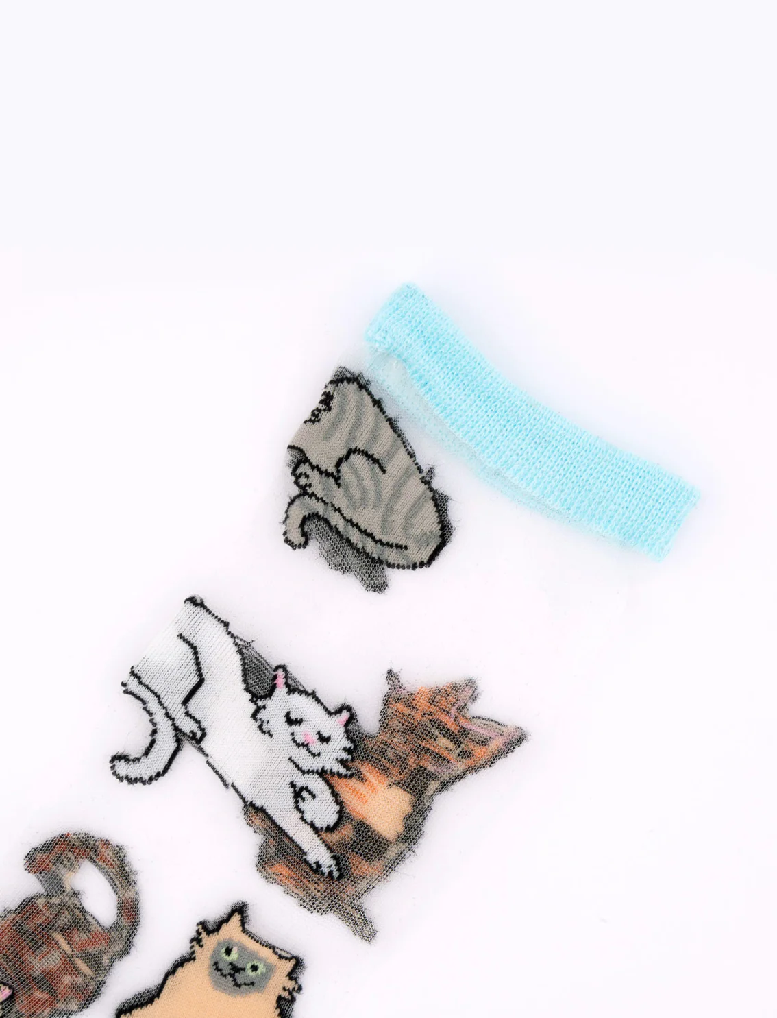 תמונה ממוזערת 2